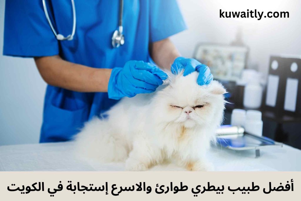 طبيب بيطري طوارئ